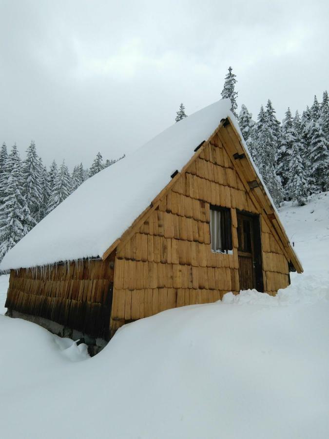 Cottage Bosaca Žabljak Екстериор снимка