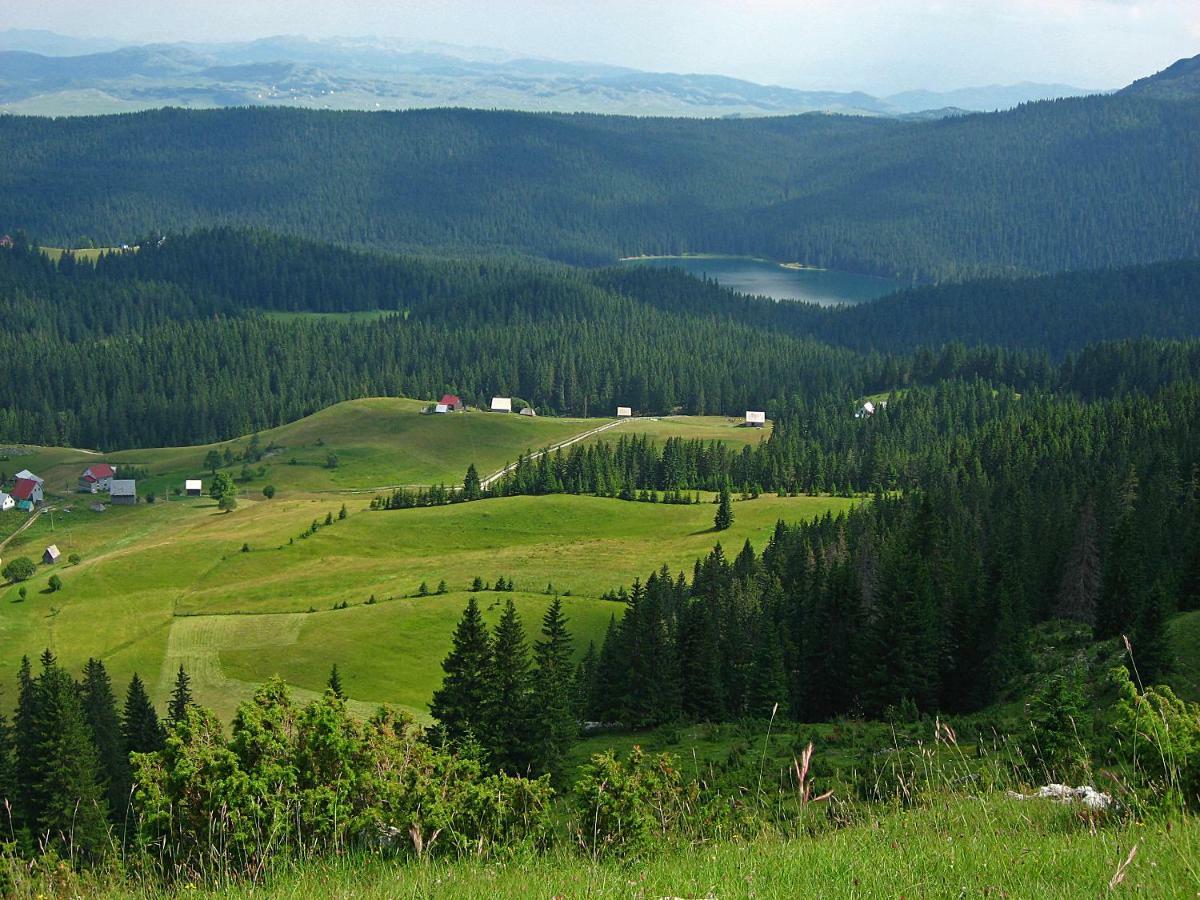 Cottage Bosaca Žabljak Екстериор снимка