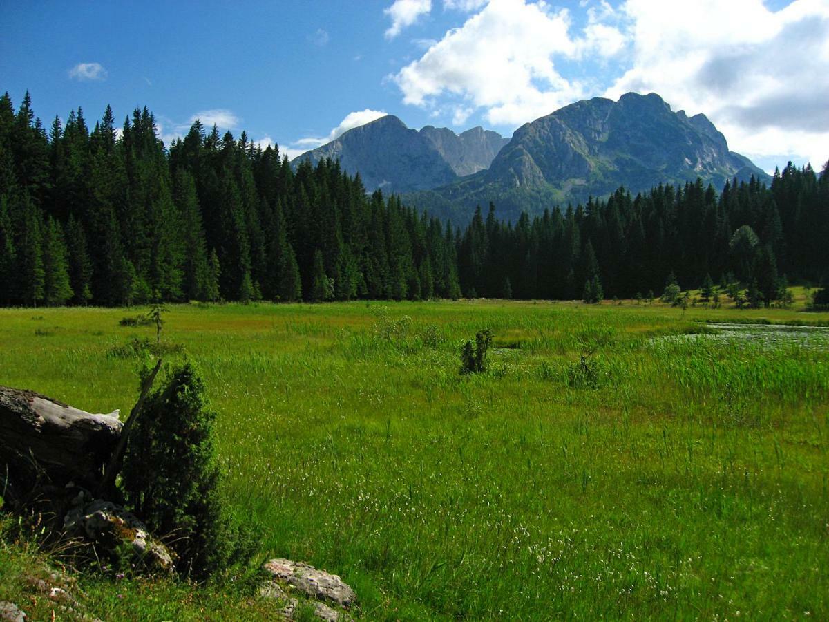 Cottage Bosaca Žabljak Екстериор снимка